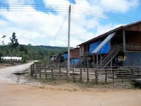 移転したばかりのN村