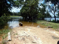 田も道もすでに水の底に