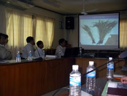 稲の分桔の多さの違いについて説明する農業スタッフのフンパン(中央)