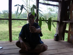 これがマイボンの木である。赤と白の2種類があるが、これは赤の方。