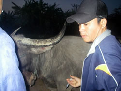 ワクチンの温度管理のため、早朝に実施