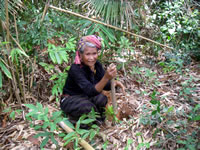 老若男女多くの村人が参加した植樹