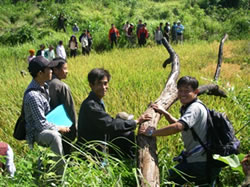 美しく実った田を見学