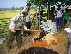 炭化した米の籾殻を家畜糞と混ぜる参加者