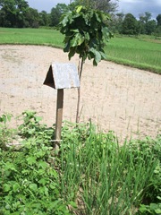 よろしくお願いします