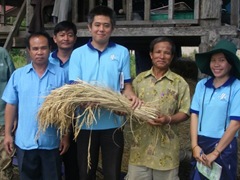 実るほどに、頭を垂れる...