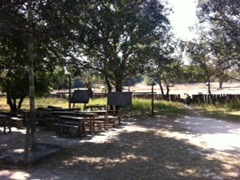 絵的にはなかなか素敵