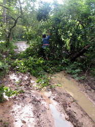 鉈を使って道をふさいでいる木々を退けていく