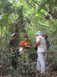 どのような森林管理がなされているかを確認するため、コミュニティ・フォレストの中を歩きました