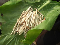 タロイモの葉に包んでラタンの新鮮さを保つ