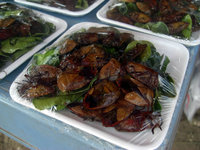 昆虫食は「ドライブの友？」