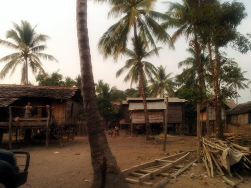とてものどかなナトゥ村です。屋根も竹でできており、ヤシの木にマッチしています。