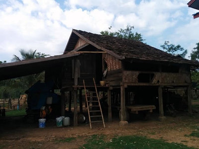村で一般的な高床式住居