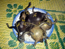 調理された茹でカエル