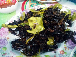 ラオス名物、コオロギの料理