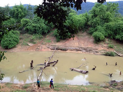 右の方には魚をとる子どもたち