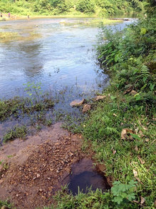 お父さんが掘った
