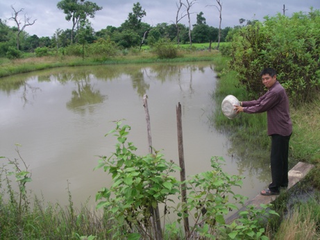 私も餌やりました。沢山寄ってきた!
