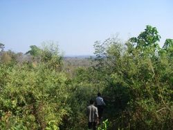 こういう道を行くわけですから