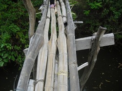 犬のしっぽのあたりはこうなっている