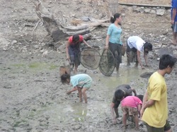 大人から子どもまで楽しそう