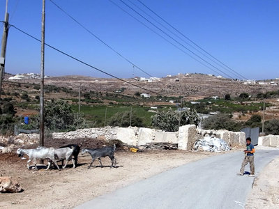 西岸地区南部のパレスチナ人集落。イスラエル軍による家屋破壊や、イスラエル人入植者からの嫌がらせに、日々晒されている。（ヘブロン南部ワディアラにて）