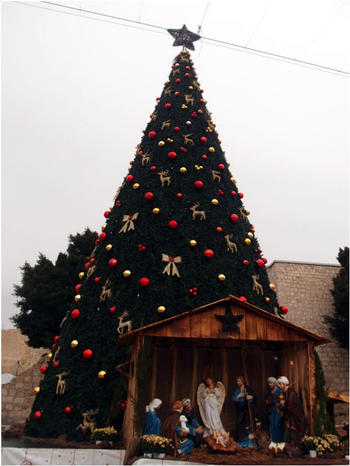ベツレヘムの聖誕教会前にある大きなツリー・昼間（2020年1月18日撮影）
