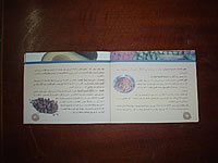 安価で栄養価が高い料理についての小冊子