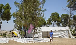 キャンプ場に突如出現した巨大なビニールハウス（左）とテント（右）