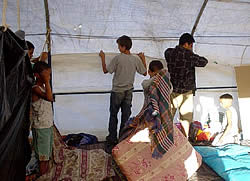 ビニールハウスの中、片づけ中。