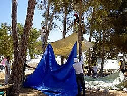 キャンプ場の設営