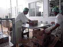 オートメーション化された近代的な牛乳工場