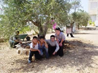 オリーブ畑のある校庭