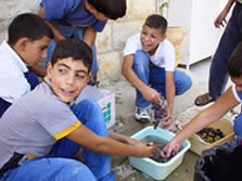 ぶどうを洗ってジュースに