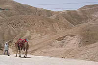 海面地点0ｍには観光用のラクダもいる