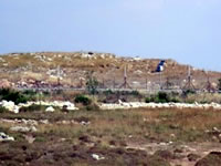 雑草の茂った畑の向こうには入植者の作ったフェンスが見える