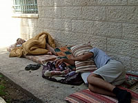 徹夜組のシエスタ