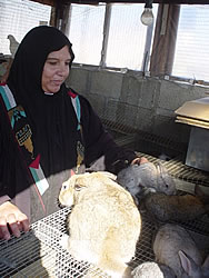 赤肉が値上がりを続ける中、貴重なたんぱく源としてウサギの需要は高い 