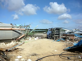 鶏飼育工場では3万羽の鶏が死んだ。