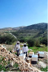 こんな絶景の中に住むミツバチたちは幸せ者