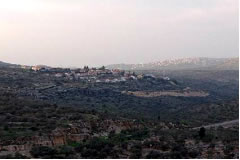 私のミツバチたちの巣箱からは、入植地が目の前に見える