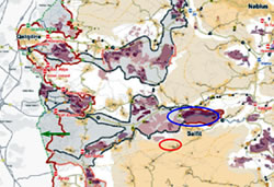 地図(出典:United Nations OCHA):ファルハ村(赤い丸)の北部にはグリーン・ライン(矢印で指した緑の点線)から大きく西岸側に入り込んだアリエル入植地(青い丸)が広がる