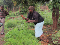 おもむろにニンジンを収穫し始めたと思ったら・・