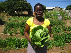 緑いっぱいのフローレンスさんの畑