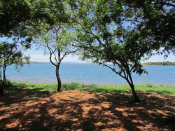 ダムのほとりにあるキャンプ場が会場です。