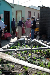 家庭菜園をしているセリーナさんにインタビュー。