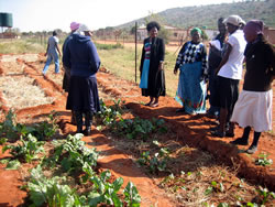 みんなで菜園を観察することで学びの場にもなります