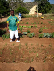 4月に始めたばかりのジョナサンの菜園。これからどんな風に変化していくのか楽しみです。
