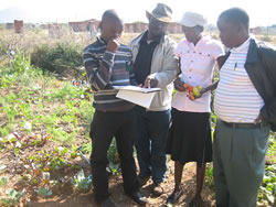 セリーナさんの菜園を観察。ジョナサンも参加しています。
