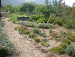 最高得点をとったジャクソンの畑。緑があふれています。